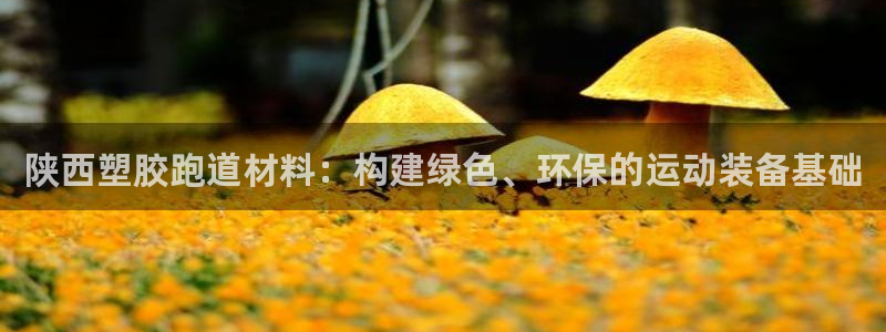 谈球吧打不开了