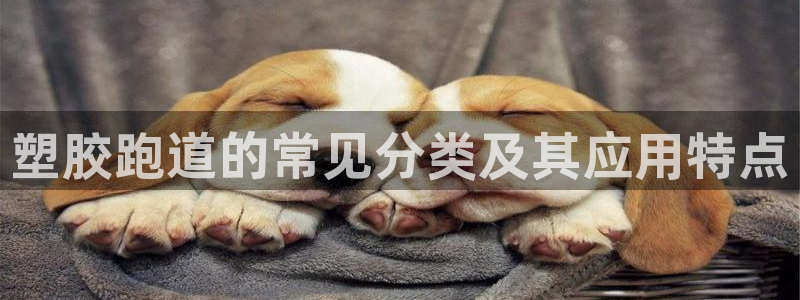 谈球吧体育综合台
