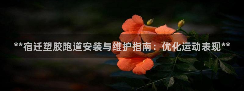 谈球吧体育app官网：**宿迁塑胶跑道安装与维护指南