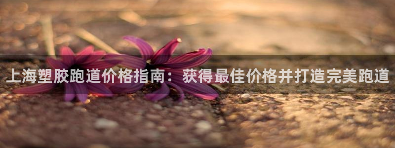 谈球吧app赛事分析在哪里看：上海塑胶跑道价格指南：