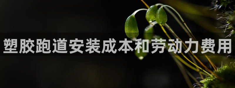 谈球吧体育app下载官网：塑胶跑道安装成本和劳动力费用