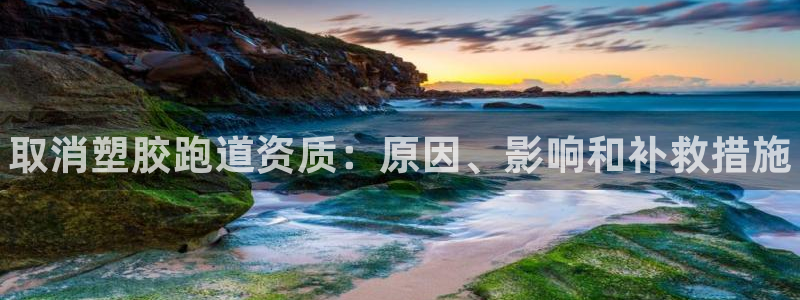 谈球吧体育app下载官网安卓：取消塑胶跑道资质：原因、影响和补救措施