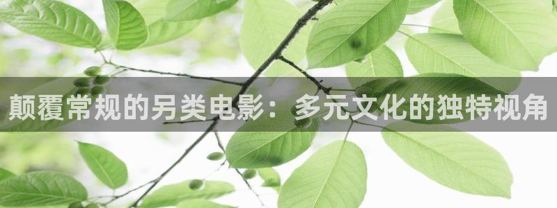 影院视频aaa：颠覆常规的另类电影：多元文化的独特视角