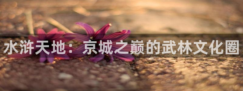 午夜aaa影院：水浒天地：京城之巅的武林文化圈