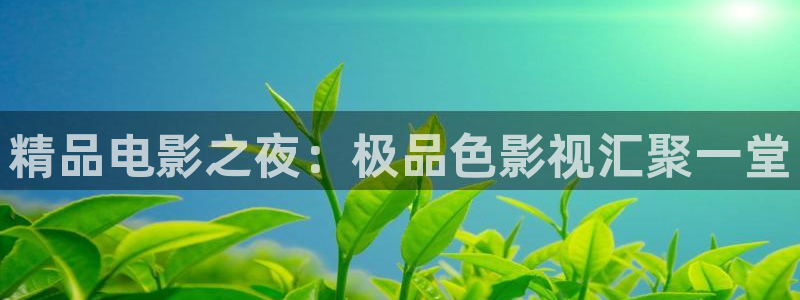 aa午夜电影：精品电影之夜：极品色影视汇聚一堂