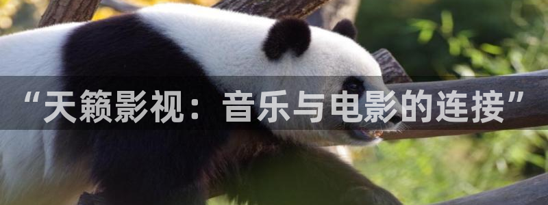 aa午夜电影aa：“天籁影视：音乐与电影的连接”