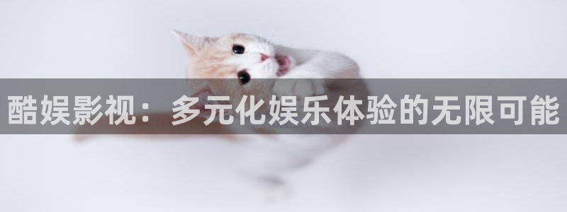 精东影业aaaa：酷娱影视：多元化娱乐体验的无限可能