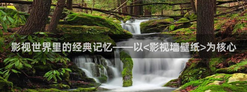 欧美aaa电影：影视世界里的经典记忆——以<影视墙壁纸>为核心