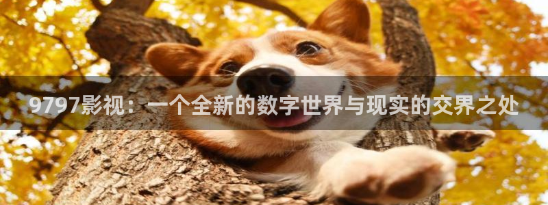 欧美电影aa：9797影视：一个全新的数字世界与现实的交界之处