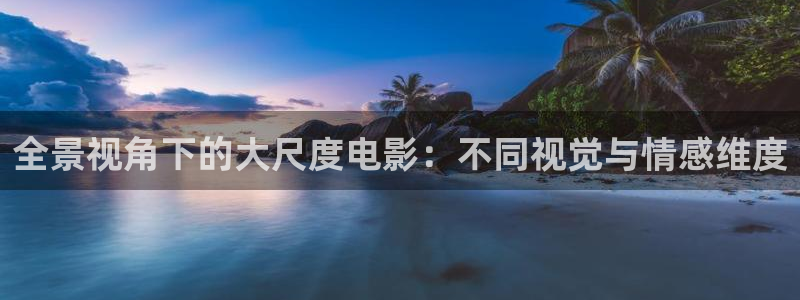 欧美电影aa：全景视角下的大尺度电影：不同视觉与情感维度