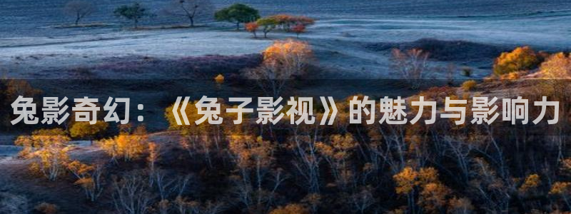 午夜aa电影：兔影奇幻：《兔子影视》的魅力与影响力