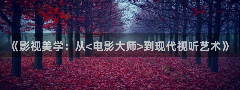 欧美aa一级看片：《影视美学：从<电影大师>到现代视听艺术》