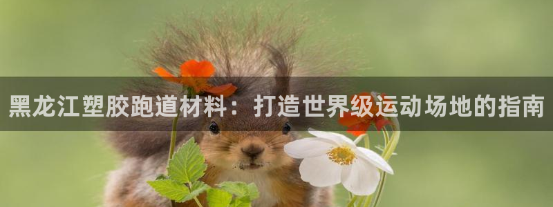 谈球吧平台app：黑龙江塑胶跑道材料：打造世界级运动