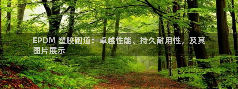 谈球吧真人：EPDM 塑胶跑道：卓越性能、持久耐用性，及其
图片展示