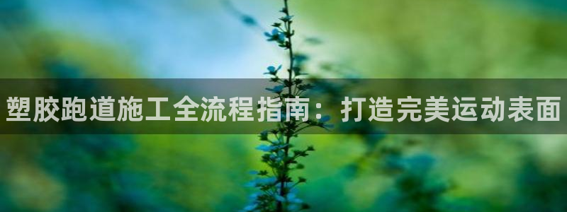 谈球吧平台app下载网址：塑胶跑道施工全流程指南：打造完美运动表面