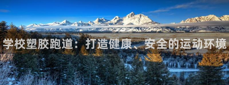 谈球吧体育官网入口